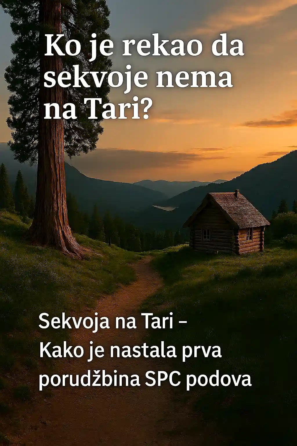 Sekvoja blog – Ko je rekao da Sekvoje nema na Tari?